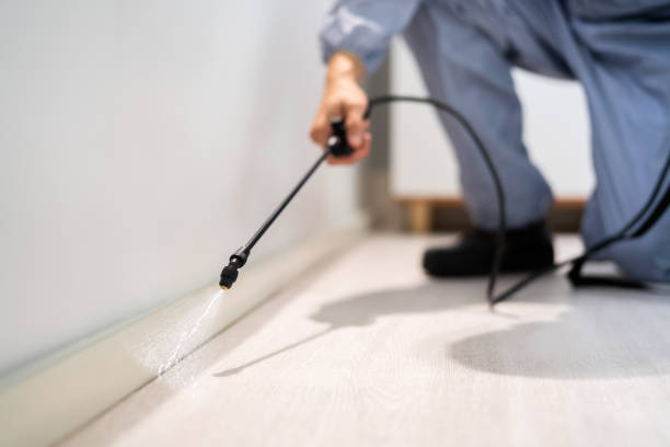 Licensed Pest Control service in Jamestown, NY - Show Me Pest Control